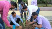 Plantation Drive