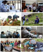 Glimpses of various activities